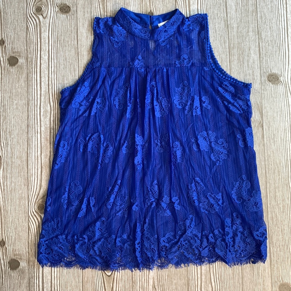 Sleeveless Lace Top | 1X